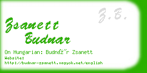 zsanett budnar business card